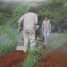 Tareas de Campo en Esc. Agrotécnica UNaM, Sede Eldorado, 1990.